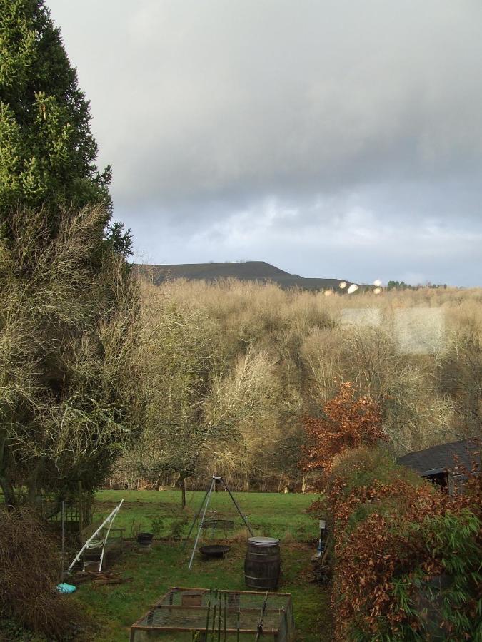 Ferienwohnung Hochwald - Im Herzen Des Saarlandes Quierschied Exteriér fotografie